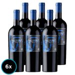 PACK 6X CABALLO LOCO GRAND CRU APALTA 750 CC